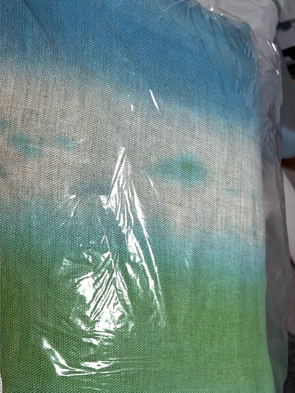 Designer guild Blue Decorative Pillow